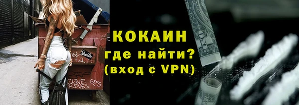 шишки Осташков