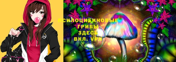 ECSTASY Алексин