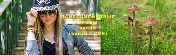 ECSTASY Алексин
