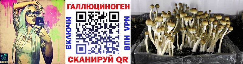 Псилоцибиновые грибы ЛСД  Находка 